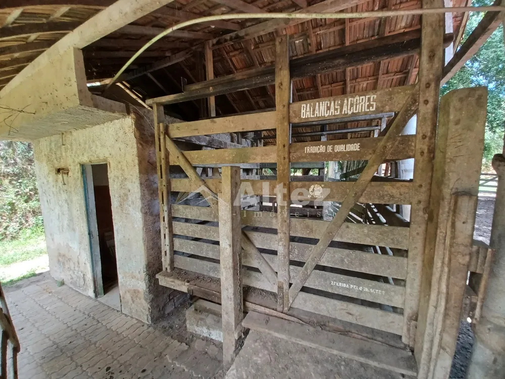 Fazenda, 409 hectares - Foto 42