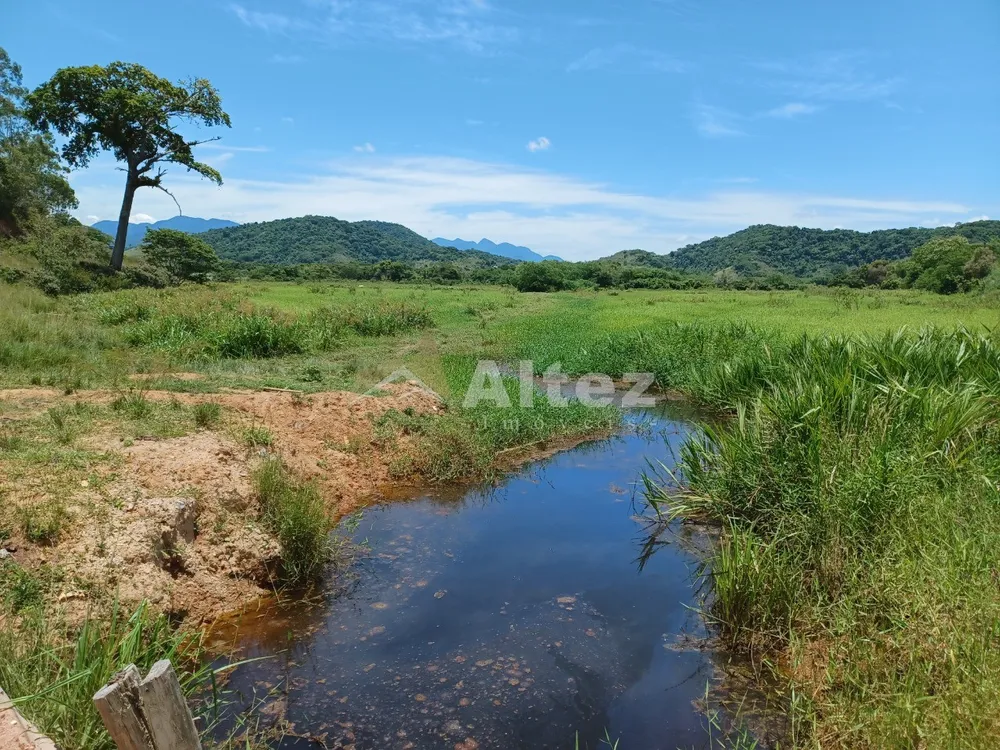 Fazenda, 409 hectares - Foto 34