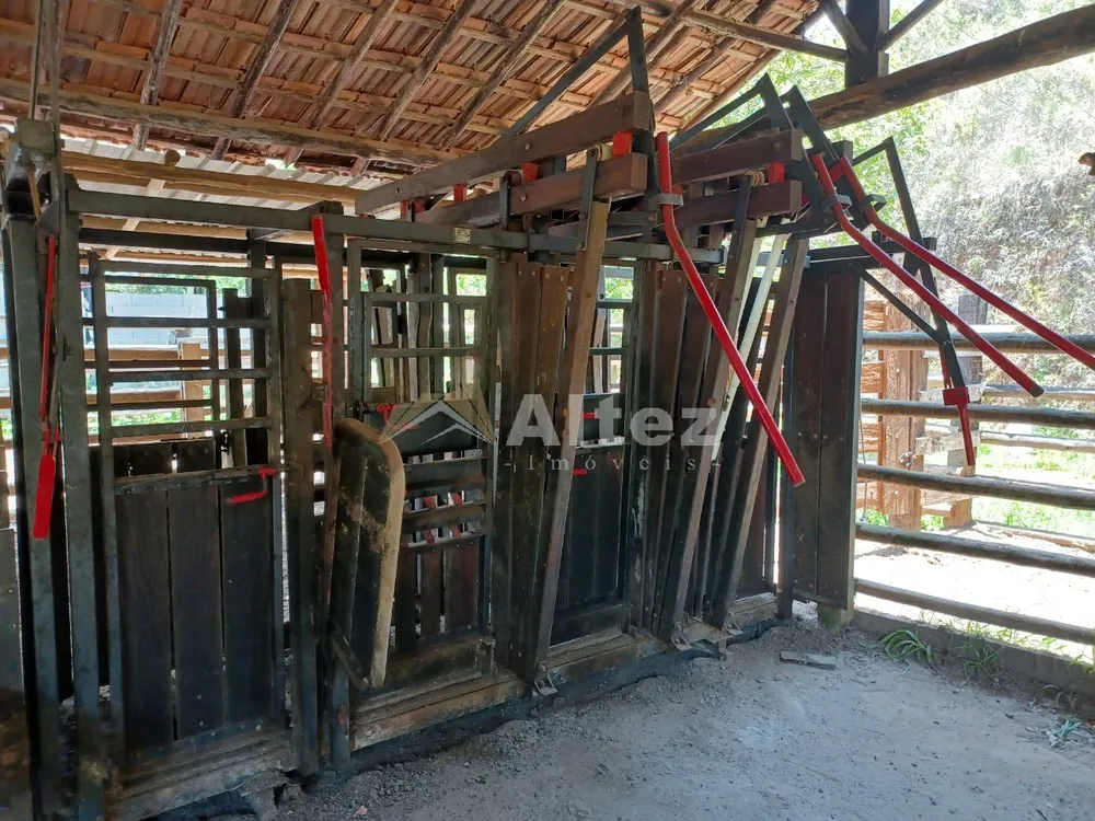 Fazenda, 409 hectares - Foto 40