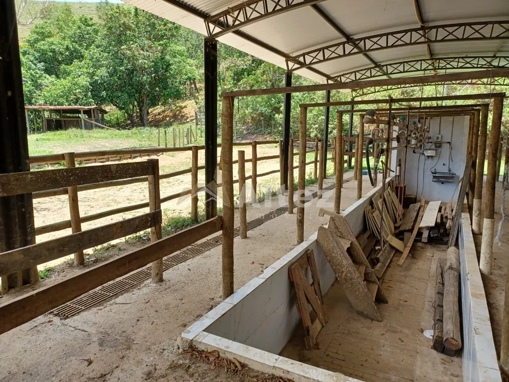 Fazenda, 409 hectares - Foto 47