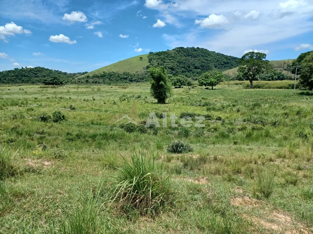 Fazenda, 409 hectares - Foto 23