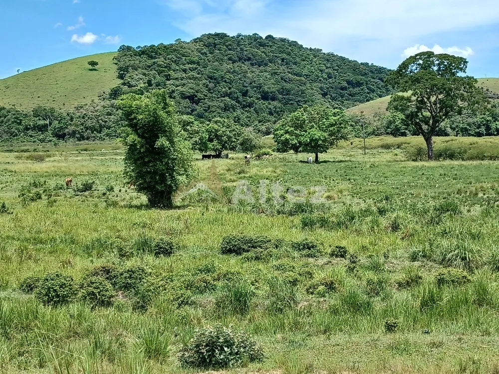 Fazenda, 409 hectares - Foto 24