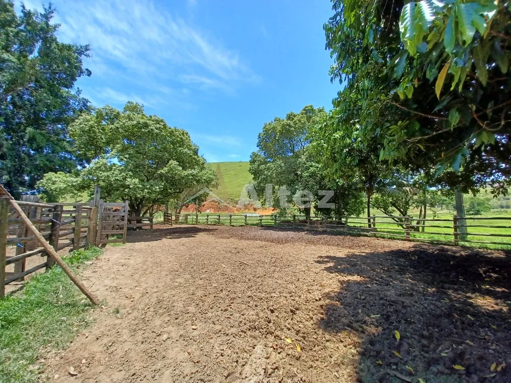 Fazenda, 409 hectares - Foto 45