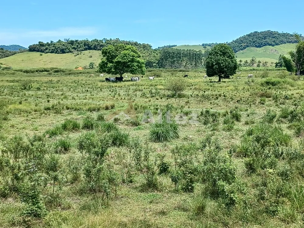 Fazenda, 409 hectares - Foto 28