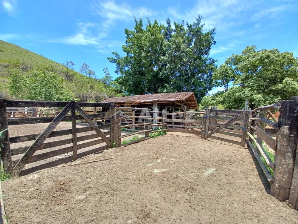 Fazenda, 409 hectares - Foto 44