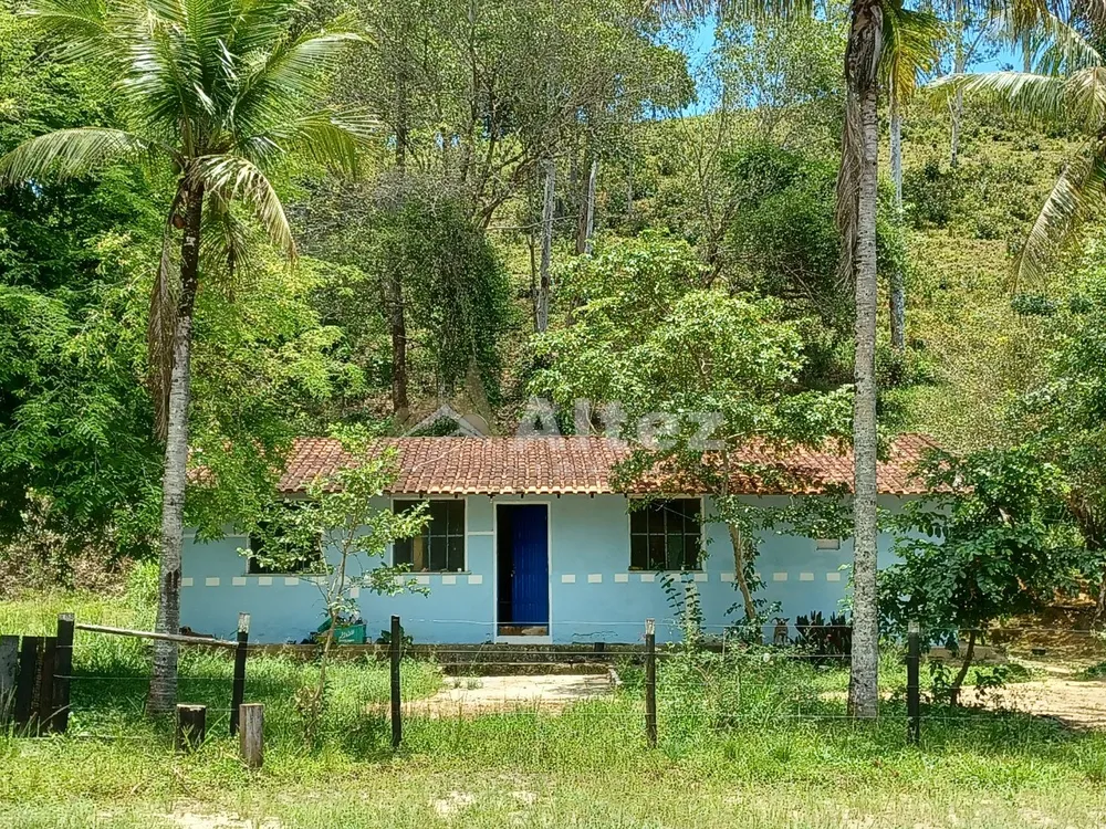 Fazenda, 409 hectares - Foto 20