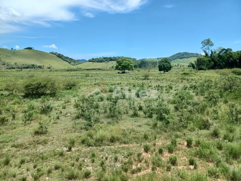 Fazenda, 409 hectares - Foto 27