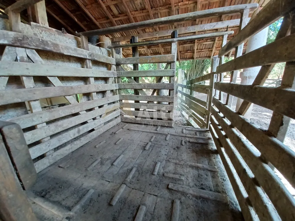 Fazenda, 409 hectares - Foto 41