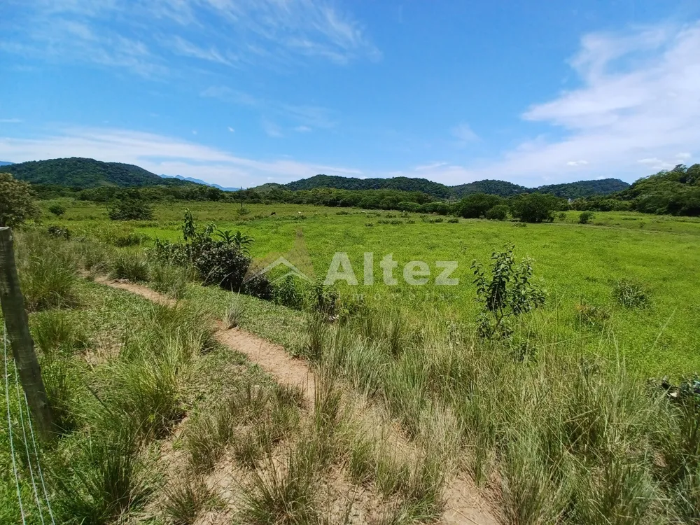 Fazenda, 409 hectares - Foto 36