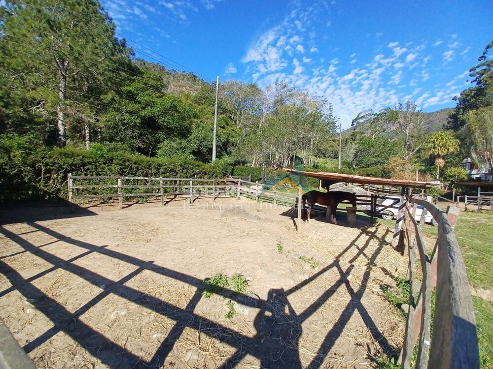 Sítio, 4 quartos, 6000 m² - Foto 4