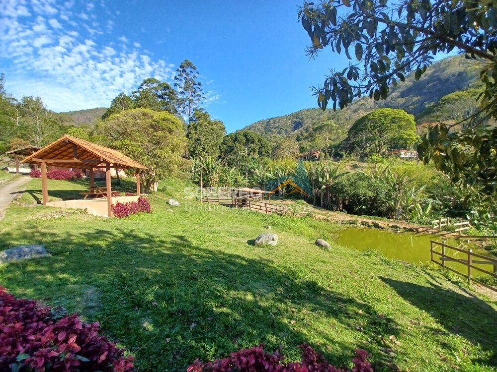 Sítio, 4 quartos, 6000 m² - Foto 1