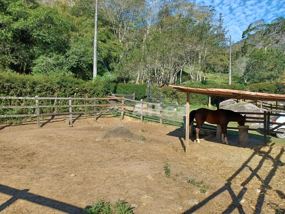 Sítio, 4 quartos, 2 hectares - Foto 33