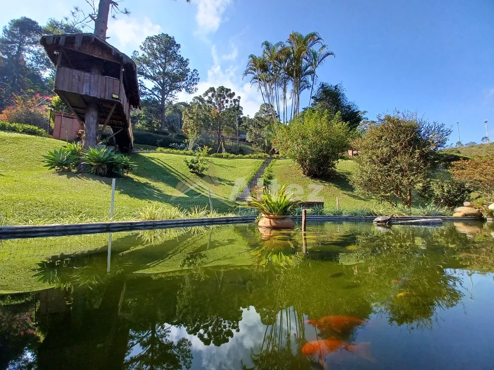 Casa, 4 quartos, 4000 m² - Foto 8