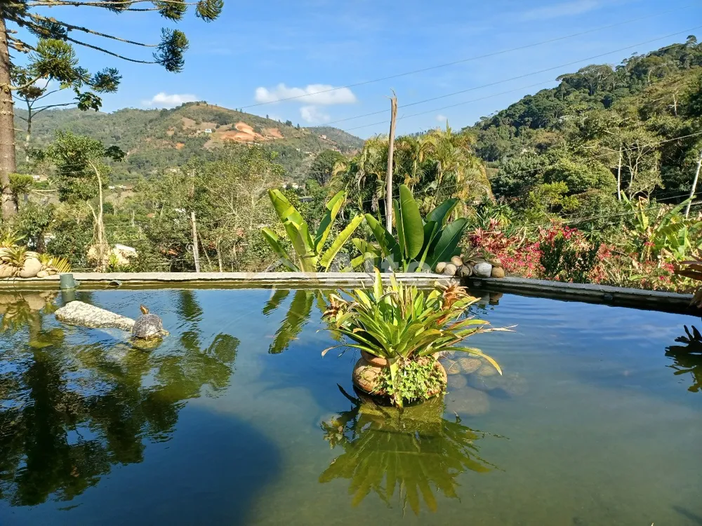 Casa, 4 quartos, 4000 m² - Foto 76
