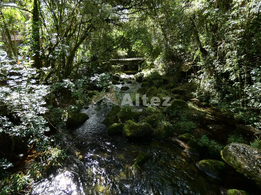 Sítio, 7 quartos, 10000 m² - Foto 33