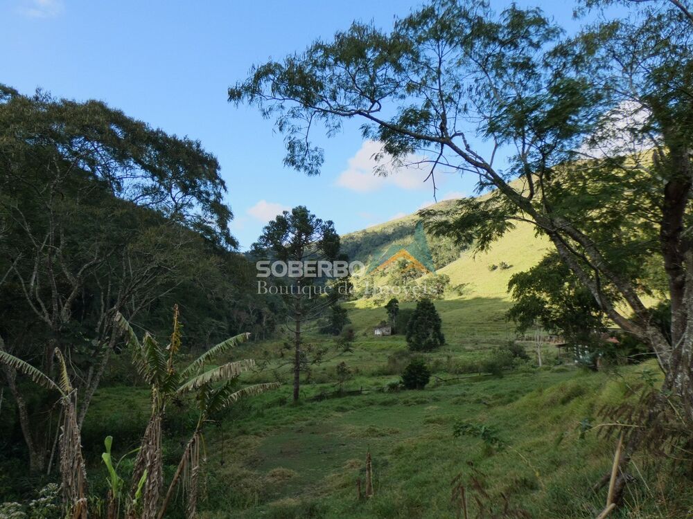 Terreno, 84 hectares - Foto 4