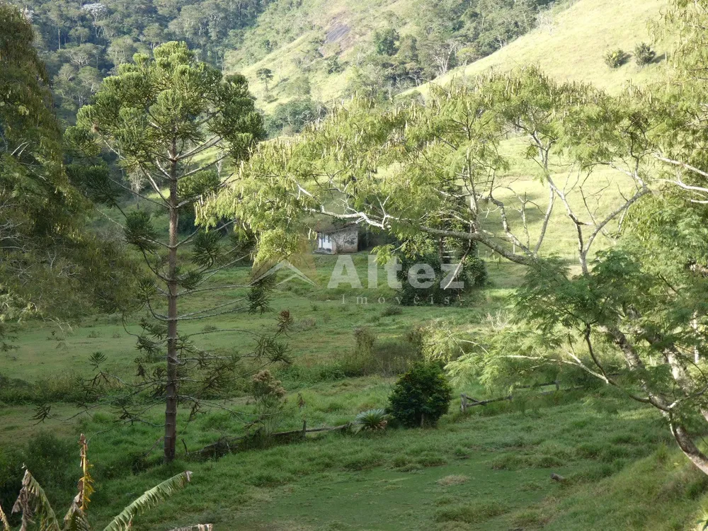 Terreno, 84 hectares - Foto 11