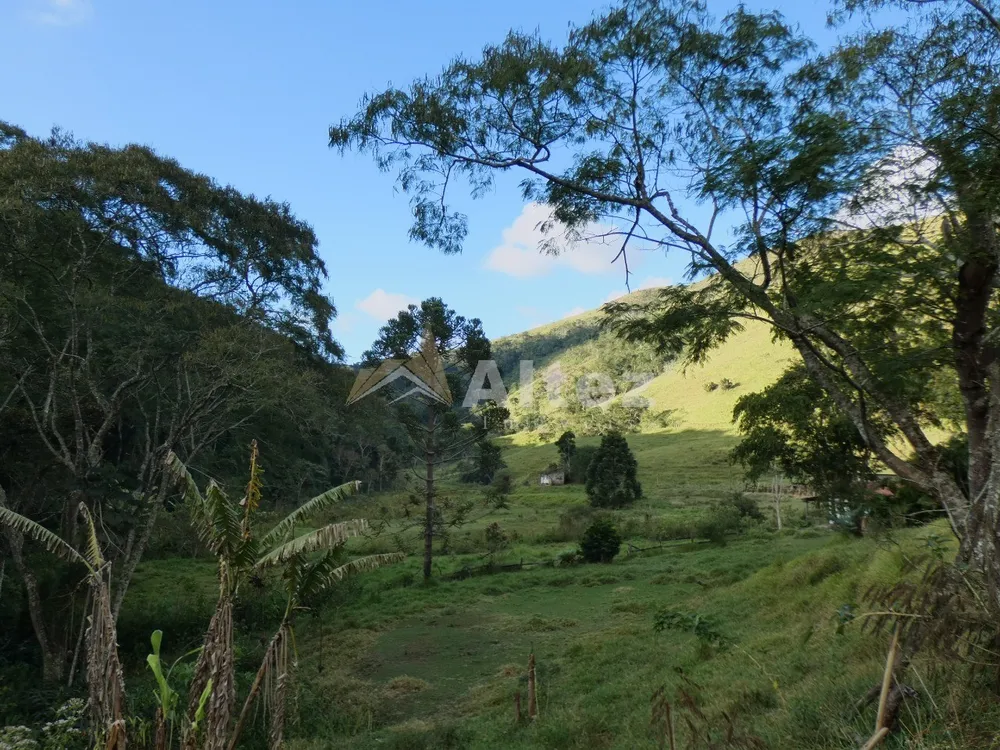 Terreno, 84 hectares - Foto 9