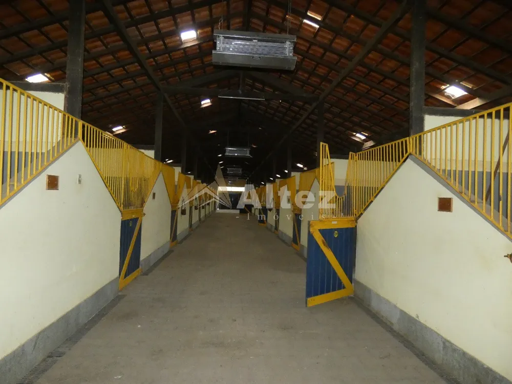 Fazenda, 80 hectares - Foto 12