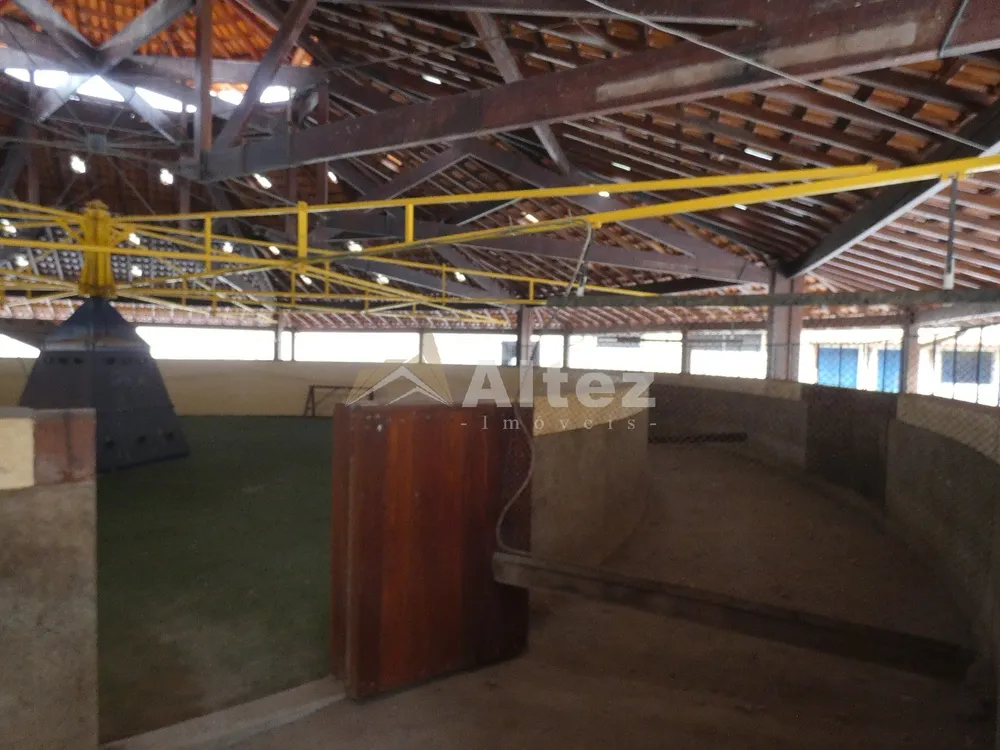 Fazenda, 80 hectares - Foto 11