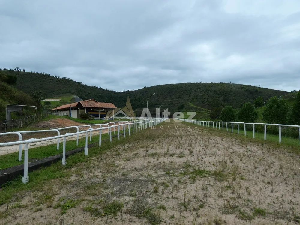 Fazenda, 80 hectares - Foto 31