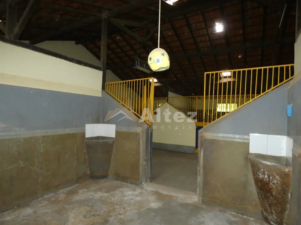 Fazenda, 80 hectares - Foto 15