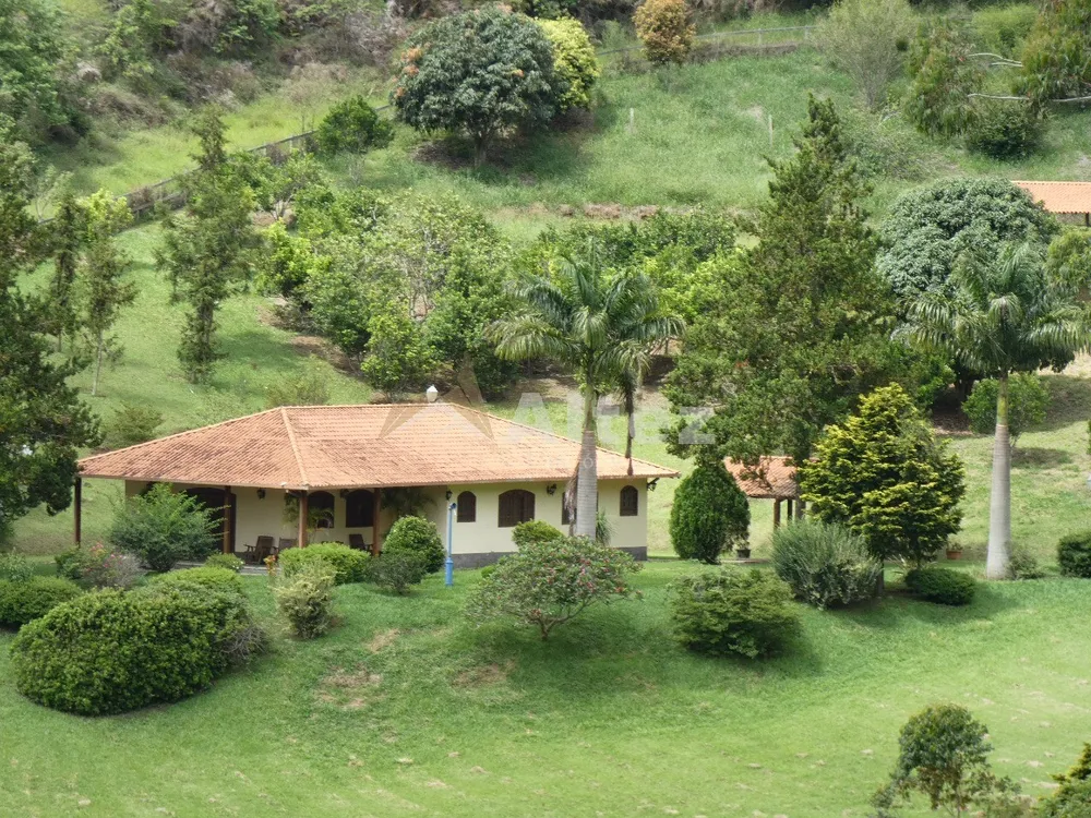 Fazenda, 80 hectares - Foto 78