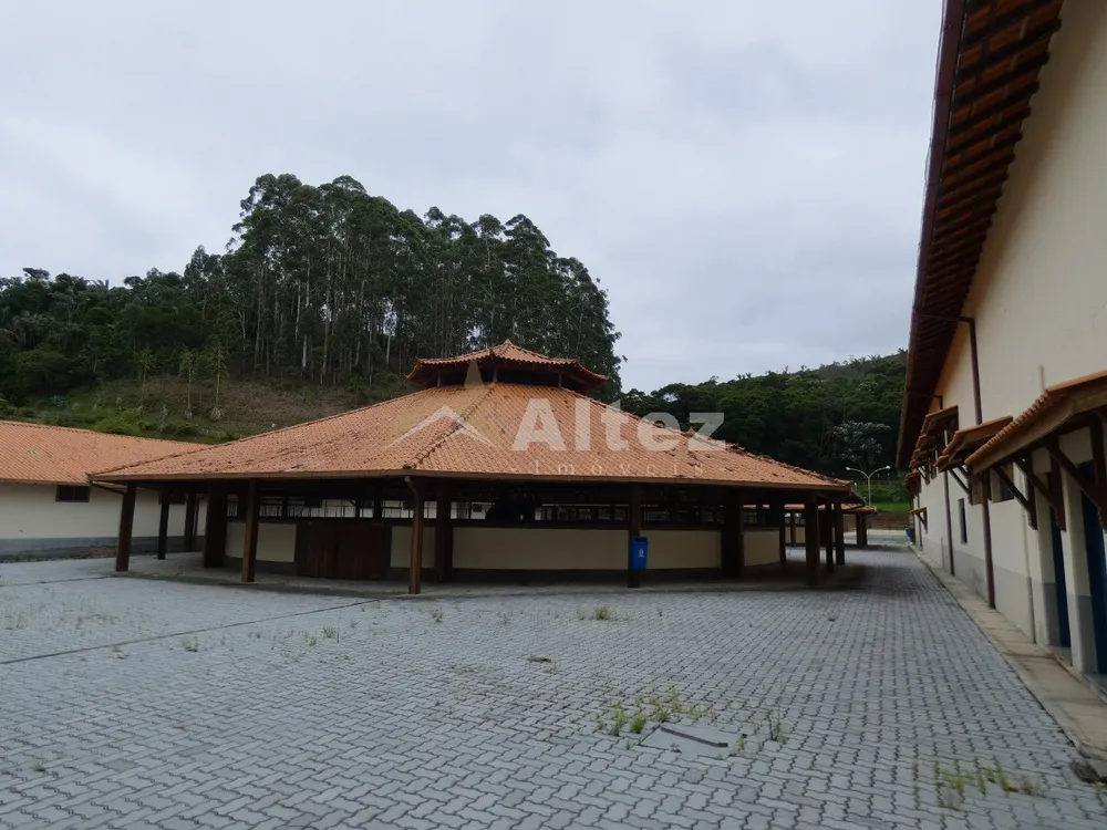Fazenda, 80 hectares - Foto 9