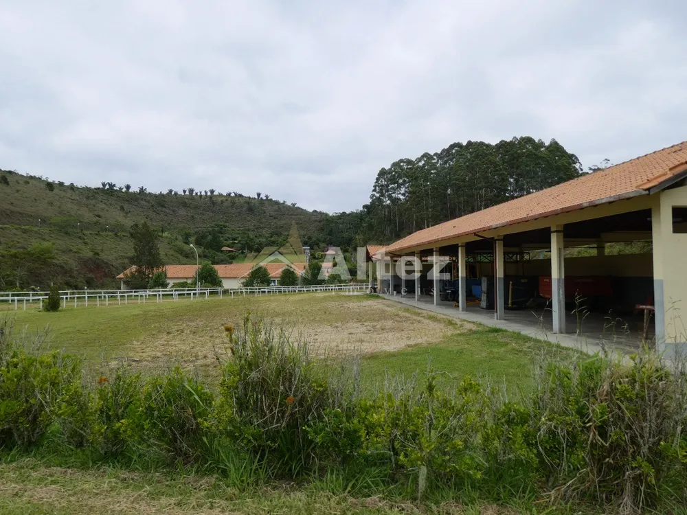 Fazenda, 80 hectares - Foto 30