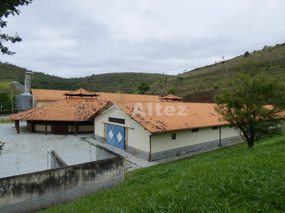 Fazenda, 80 hectares - Foto 21