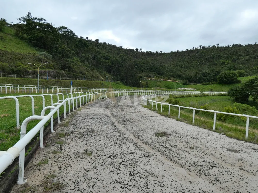 Fazenda, 80 hectares - Foto 32