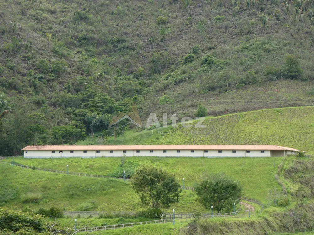 Fazenda, 80 hectares - Foto 37