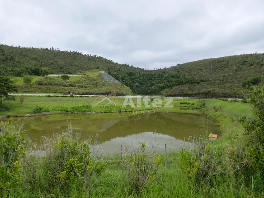 Fazenda, 80 hectares - Foto 35