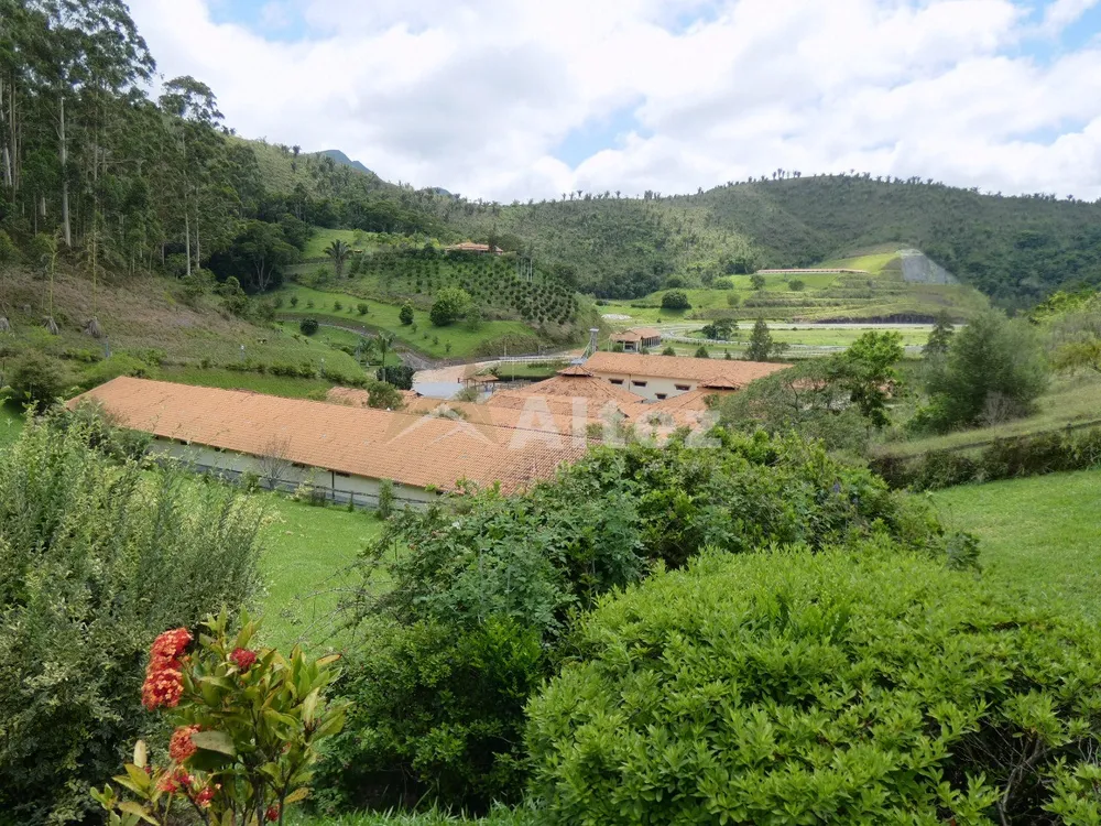 Fazenda, 80 hectares - Foto 82