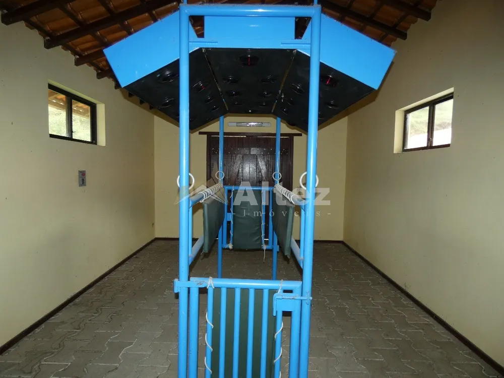 Fazenda, 80 hectares - Foto 20