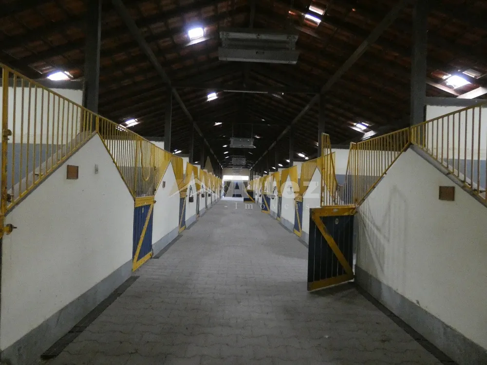 Fazenda, 80 hectares - Foto 13