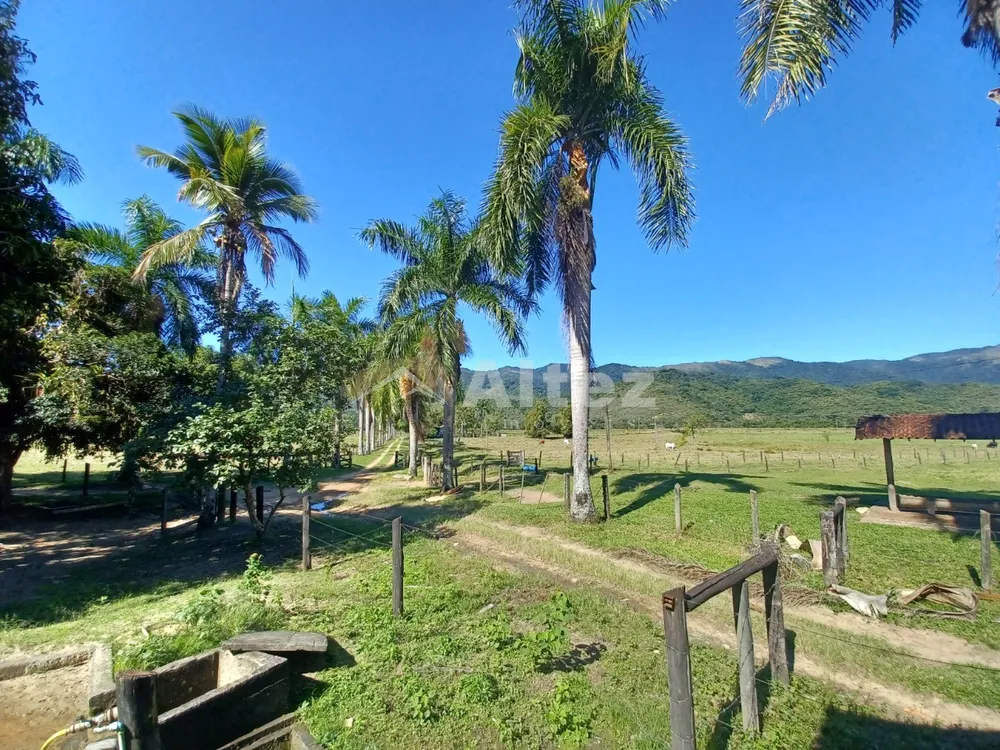 Fazenda, 600 hectares - Foto 13