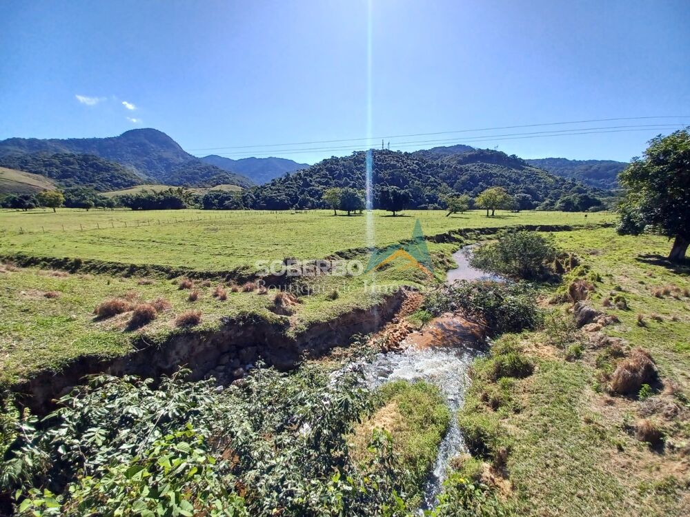 Fazenda à venda com 8 quartos, 6000000m² - Foto 4