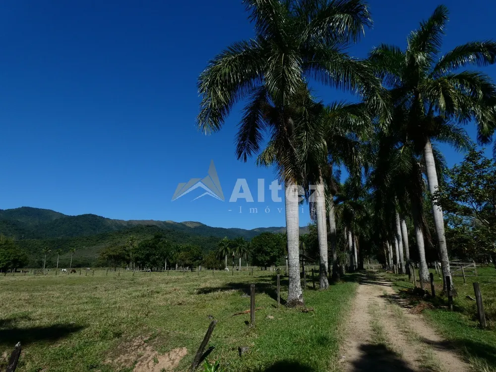 Fazenda, 600 hectares - Foto 36