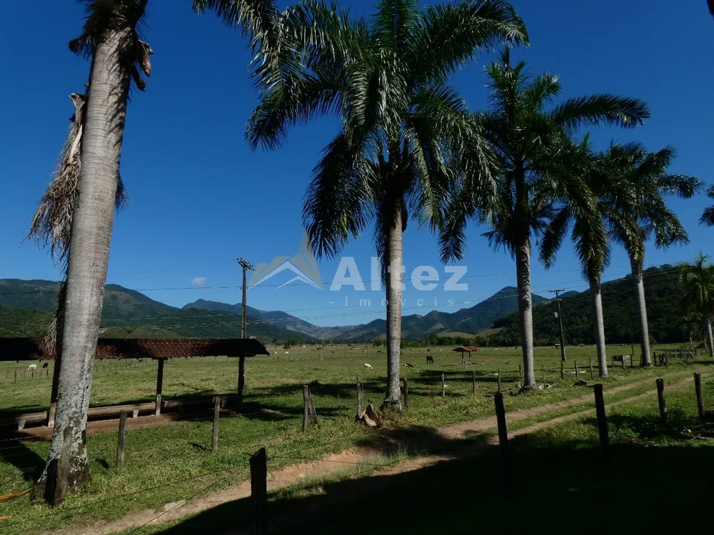 Fazenda, 600 hectares - Foto 35
