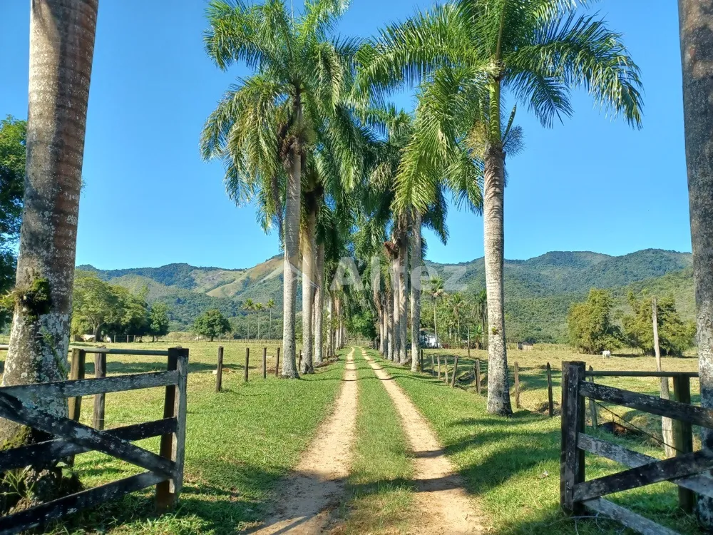 Fazenda, 600 hectares - Foto 5