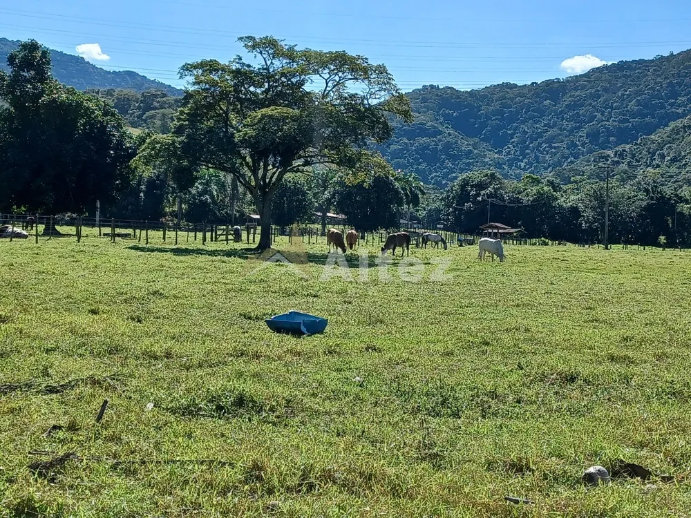Fazenda, 600 hectares - Foto 24