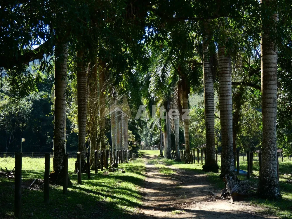 Fazenda, 600 hectares - Foto 6