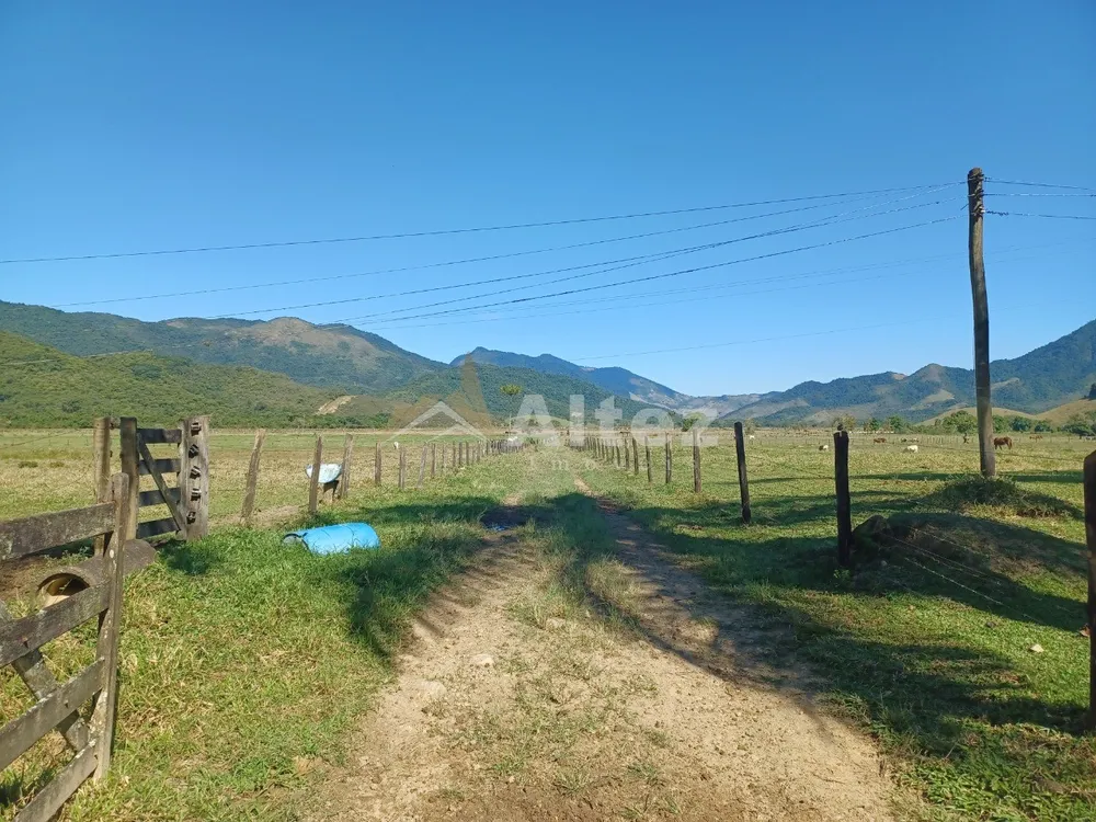 Fazenda, 600 hectares - Foto 7