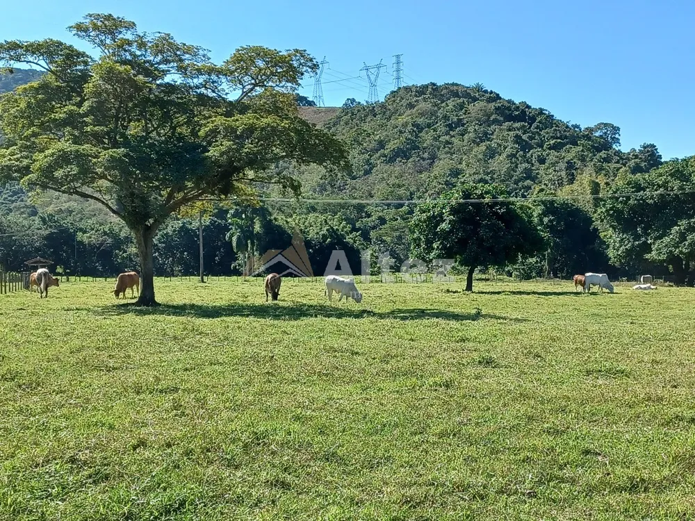 Fazenda, 600 hectares - Foto 22