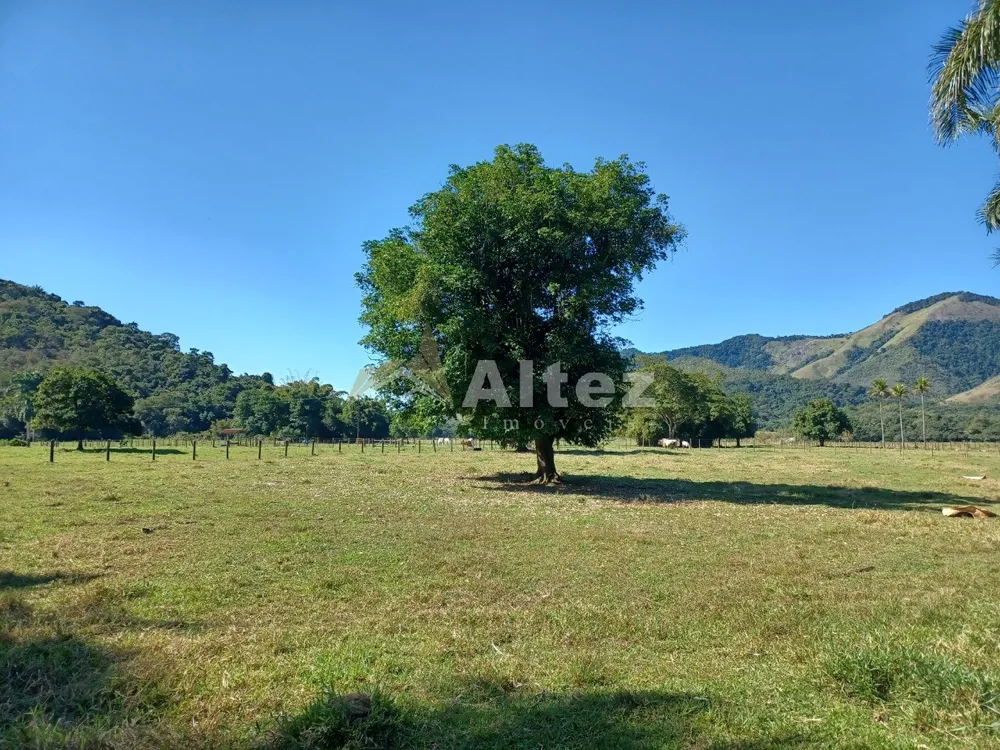 Fazenda, 600 hectares - Foto 11