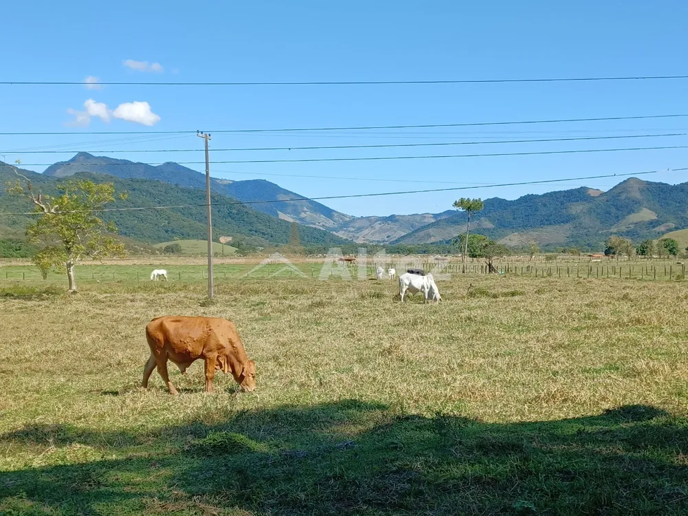 Fazenda, 600 hectares - Foto 20