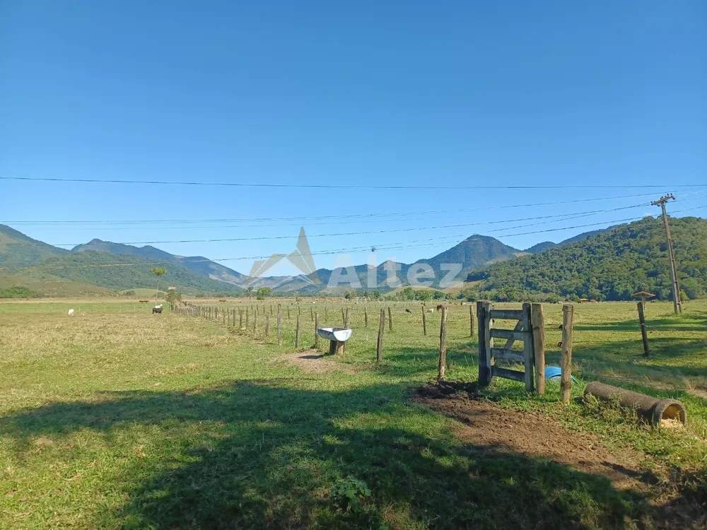 Fazenda, 600 hectares - Foto 10