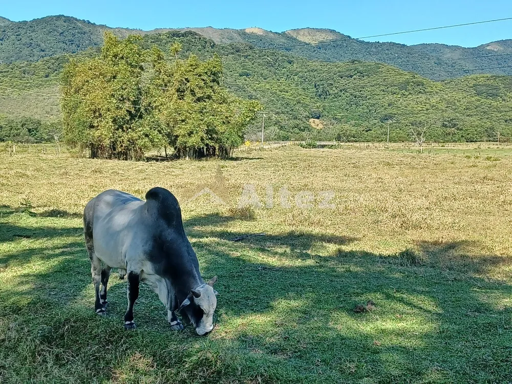 Fazenda, 600 hectares - Foto 21