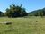 Fazenda, 600 hectares - Foto 3